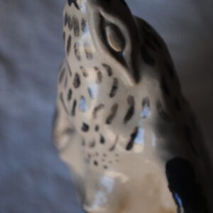 "Kobieta- ptak czarna"