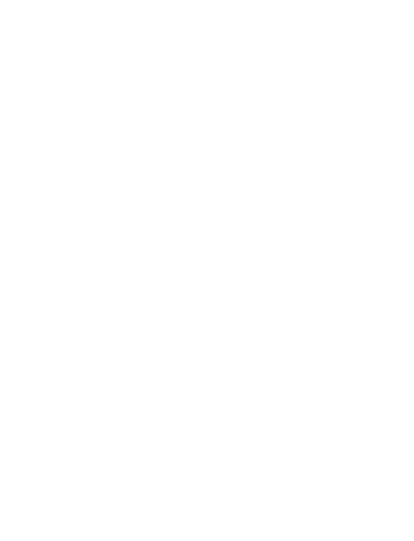 logo light