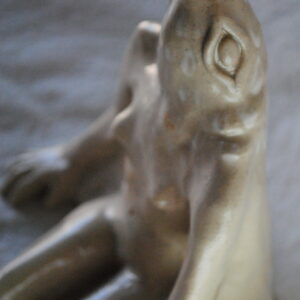 "Kobieta- ptak biała"